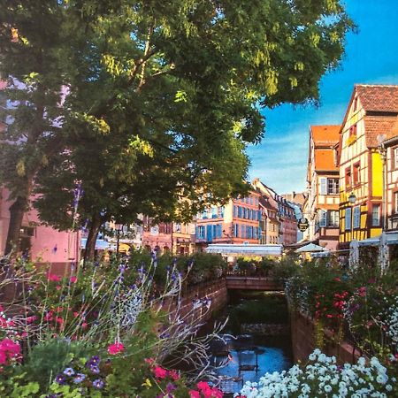 Villa Cosy Corner Colmar Exterior foto