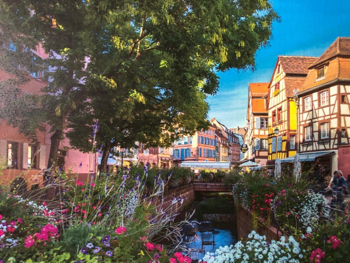 Villa Cosy Corner Colmar Exterior foto